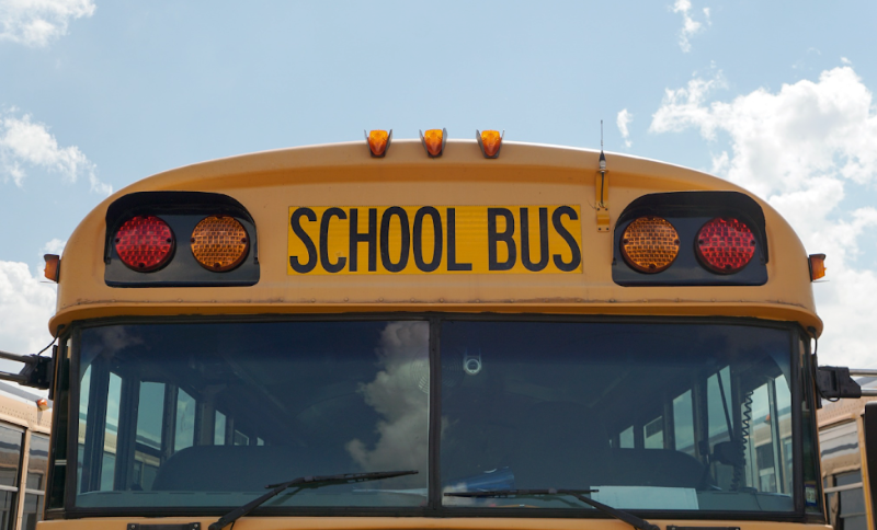 Bus