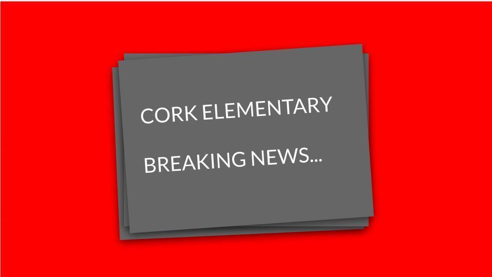 The Cork Chronicle February 2021 Edition