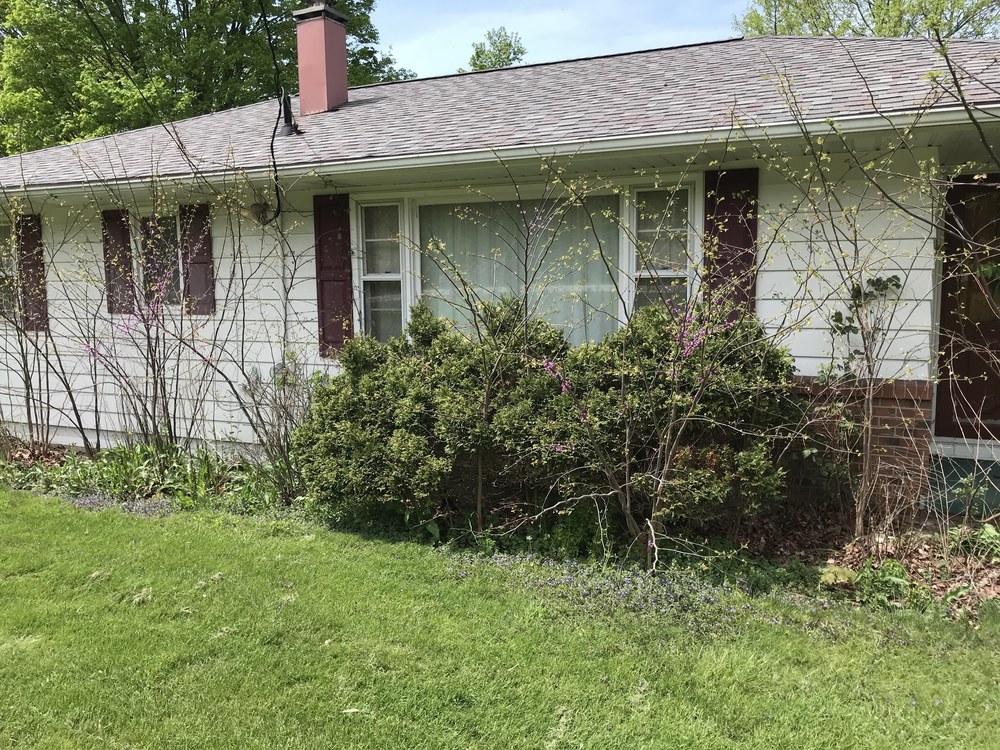 Removal of Saplings and Auction Items